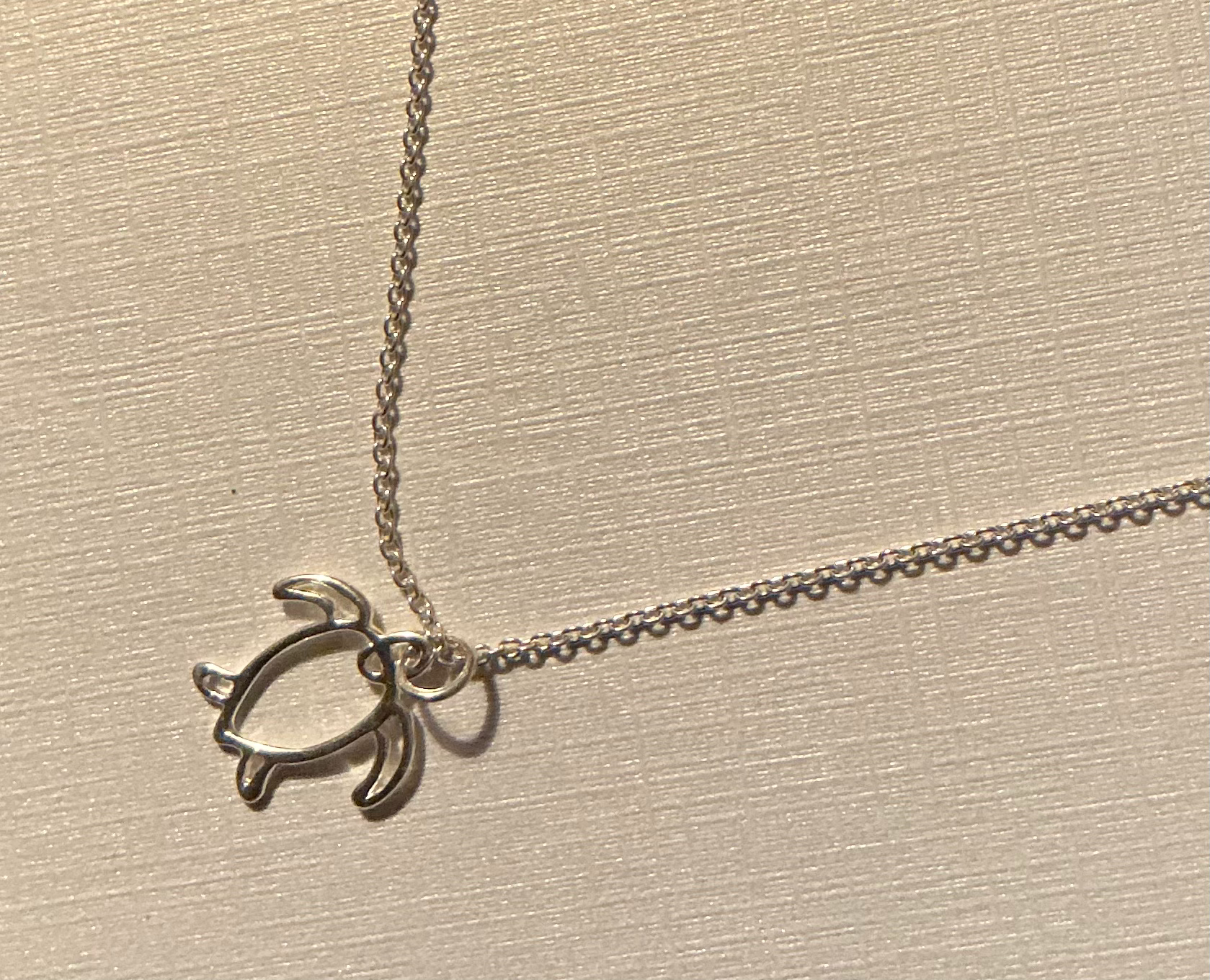 Silver Sea Turtle